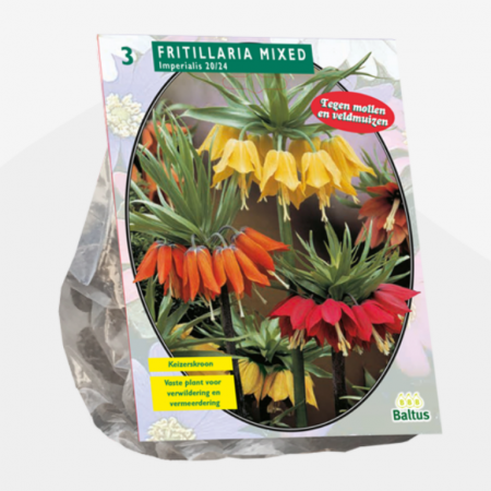 Fritillaria Imperialis Mixed per 3