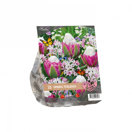 Byblomster - Forårsfølelser pr. 15