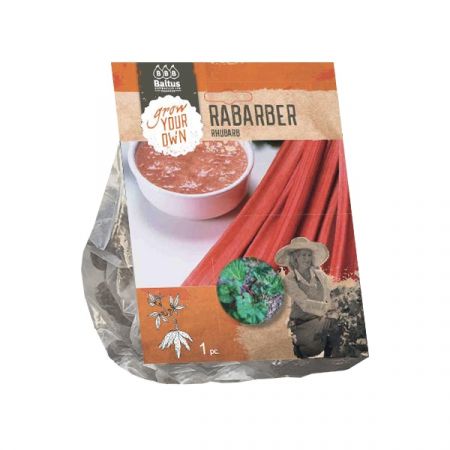 Rabarber per 1