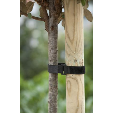 Boomband klittenband 40x2,5cm 2x met gesp